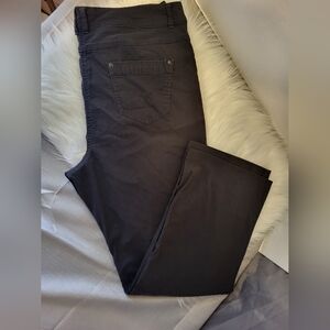 Reitmans Women's Dark Gray Chinos, Size 16 Petites